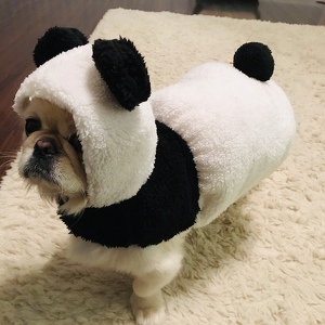 Fundraising Page: Sabina Kim